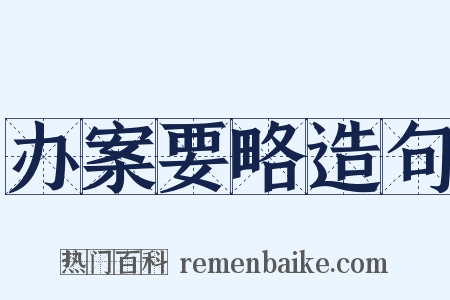 办案要略造句是什么意思的图片